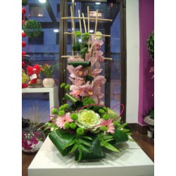 Composicion1
