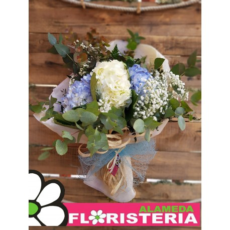 Ramo de hortensias